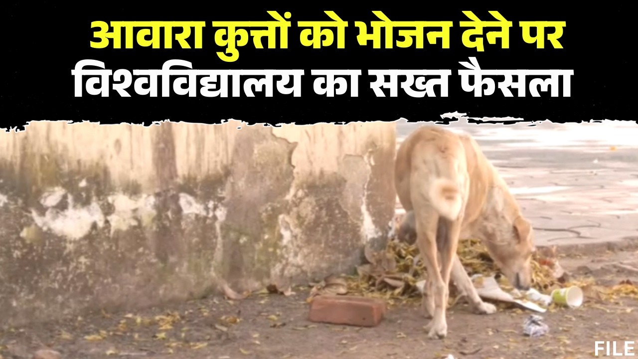 Stray Dog Ban Gwalior : आवारा कुत्तों को भोजन देने पर रोक | Jiwaji University ने लगाया बैन