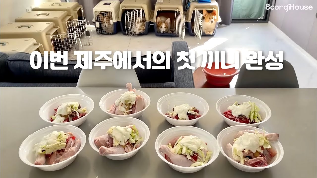 (Sub) 8견8색 생식 먹방.. 맛있게 씹는 소리에 군침 돌아요~ 😉