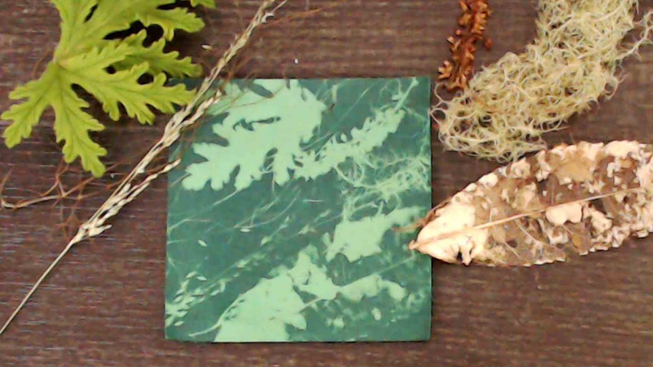 Cyanotype printing sunlight pictures   Made with Clipchamp