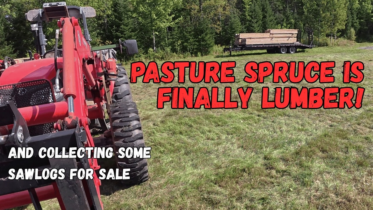 Collecting logs and piling pasture spruce lumber
