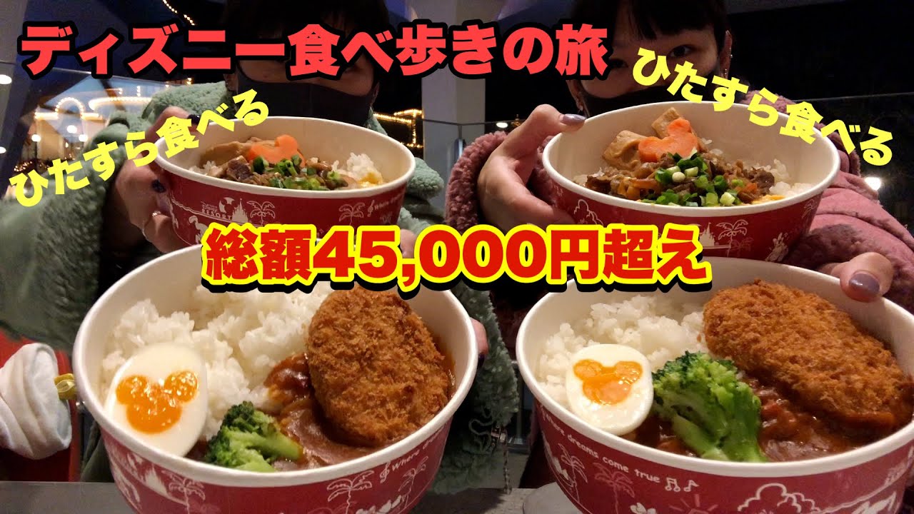 【ディズニー】ディズニーランド食べ歩きの旅、後編！【作業用BGM】【大食い】【双子】