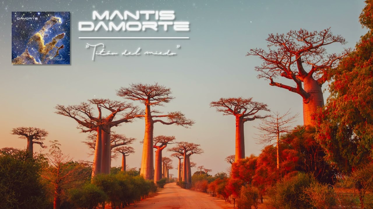 MANTIS DAMORTE. 04 