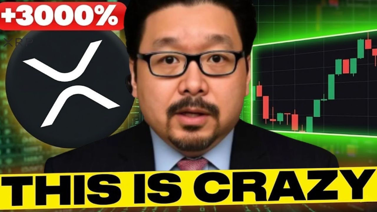 Слухи о крупном XRP подтвердились! Это просто безумие!