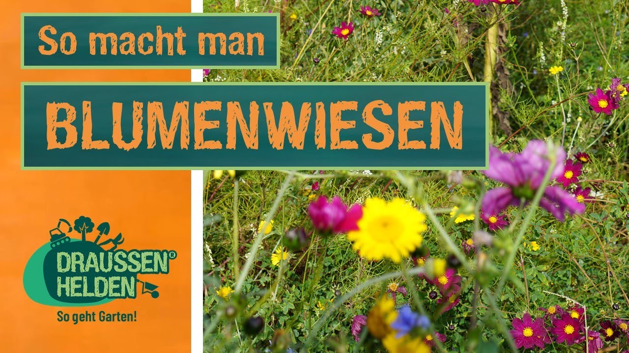 So macht man Blumenwiesen