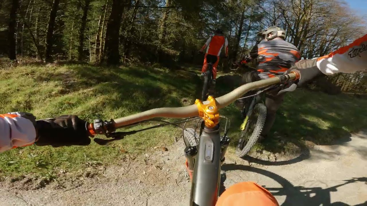 Exploring the Gorlech Trail at Brechfa Forest – A Ride Cut Short