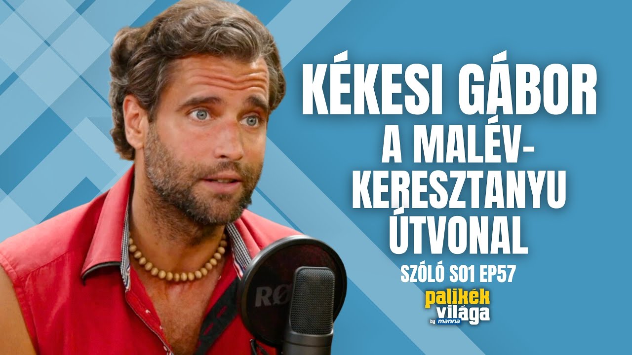 KÉKESI GÁBOR: A MALÉV - KERESZTANYU ÚTVONAL / Szóló / Palikék Világa by Manna