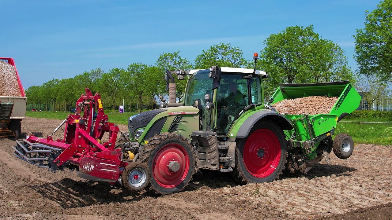 Aardappels poten | Planting potatoes | NEW | Fendt 516 Vario | Hassia | Tulip | Kartoffeln pflanzen