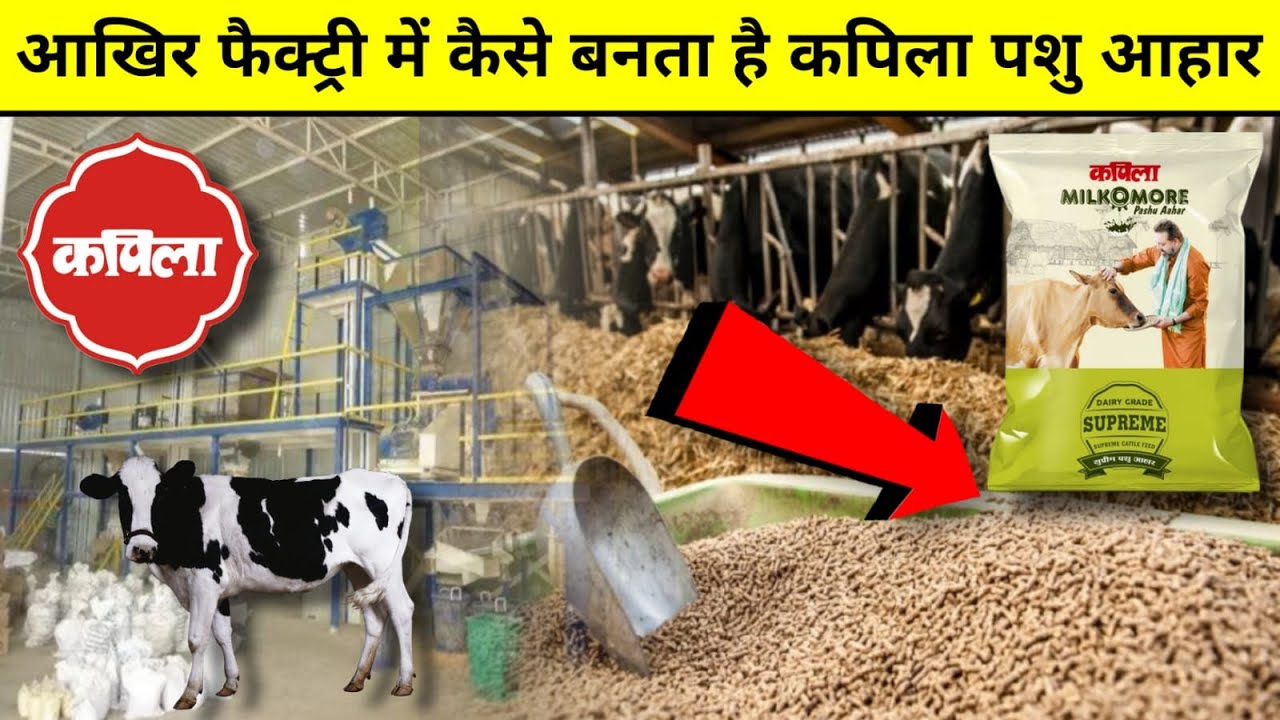 कपिला पशु आहार कैसे बनता है फैक्ट्रियों में | kapila pashu making process | kapila manufacturing