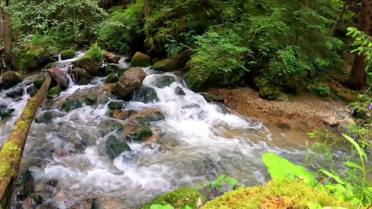 River Sounds for Deep Sleep 🌊 Relaxing Nature Water Sounds (1 Hour)