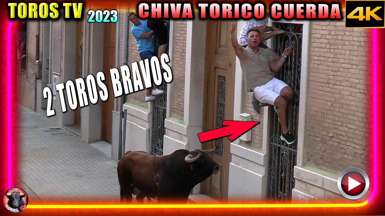 ✅😱😱❤️ TOROS BRAVOS CARPESA 2023 ▶️ 