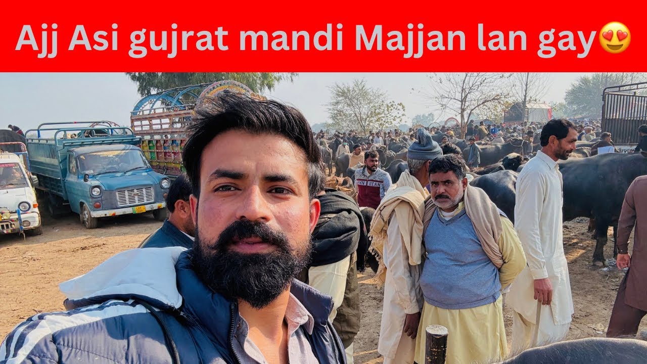 Ajj Asi gujrat mandi Majan lan ay😍😍