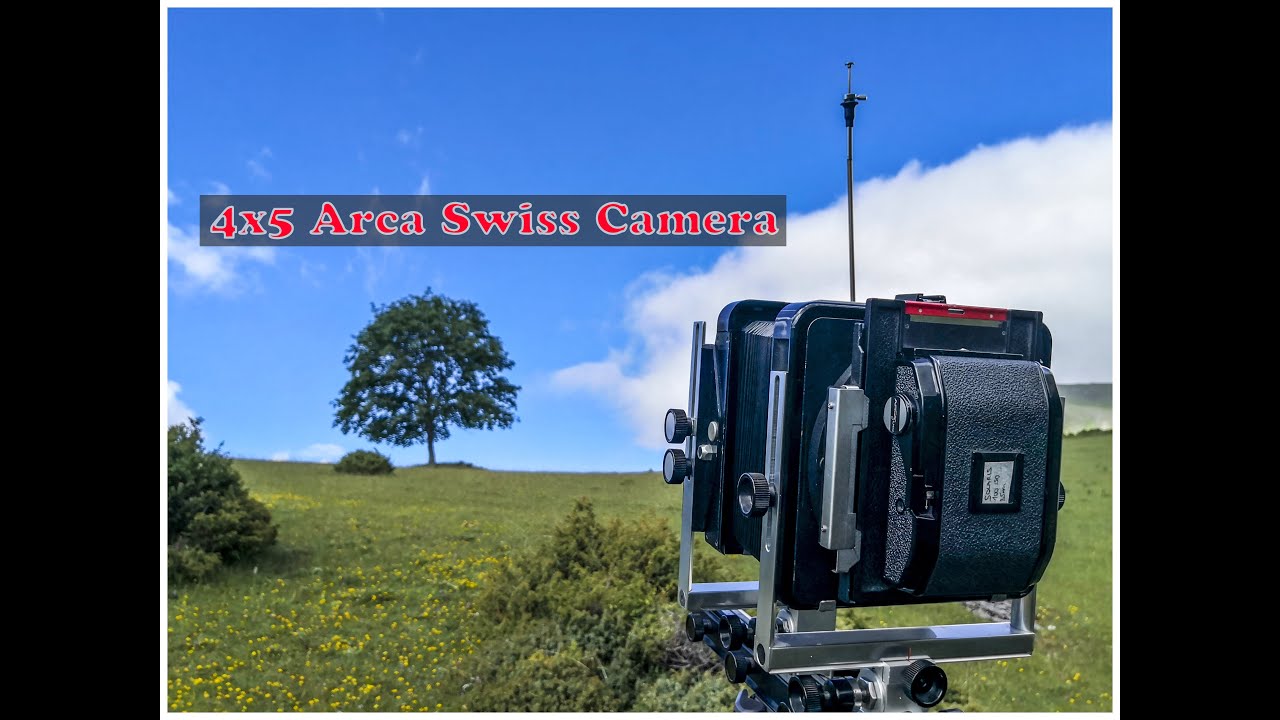 BANCO OTTICO ARCA SWISS + ADATTATORE 6X9 + PELLICOLA A COLORI 35mm = 😀 (PRIMA PARTE)