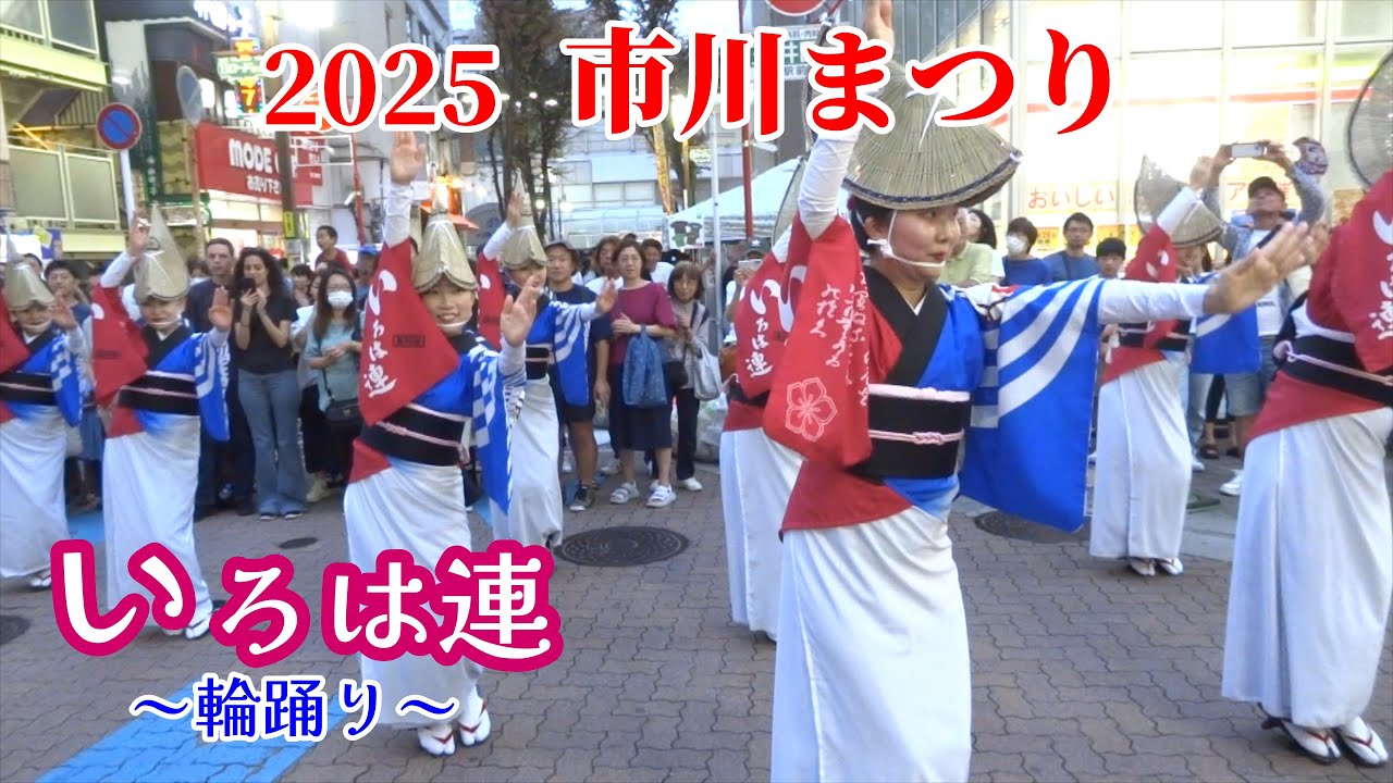 2025市川まつり／いろは連の輪踊り～（B会場）