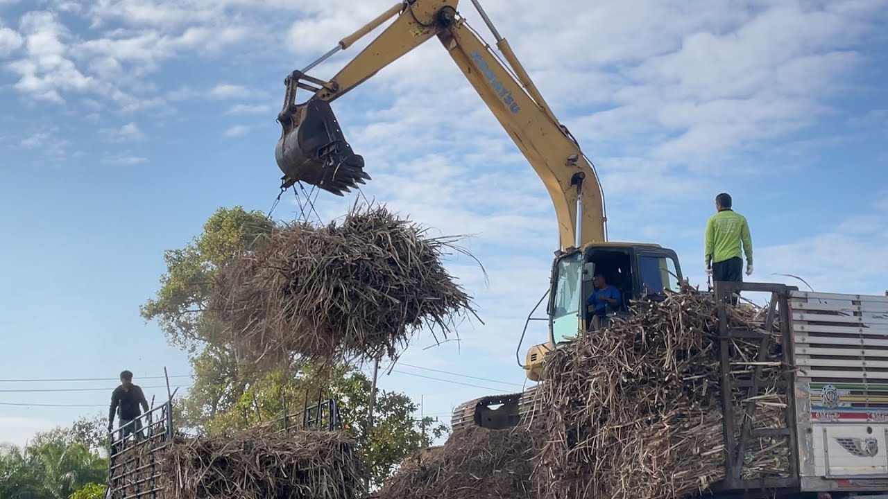 อ้อยลี้นก (บ้านเม็ก) ส่งประกวดสุรินทร์