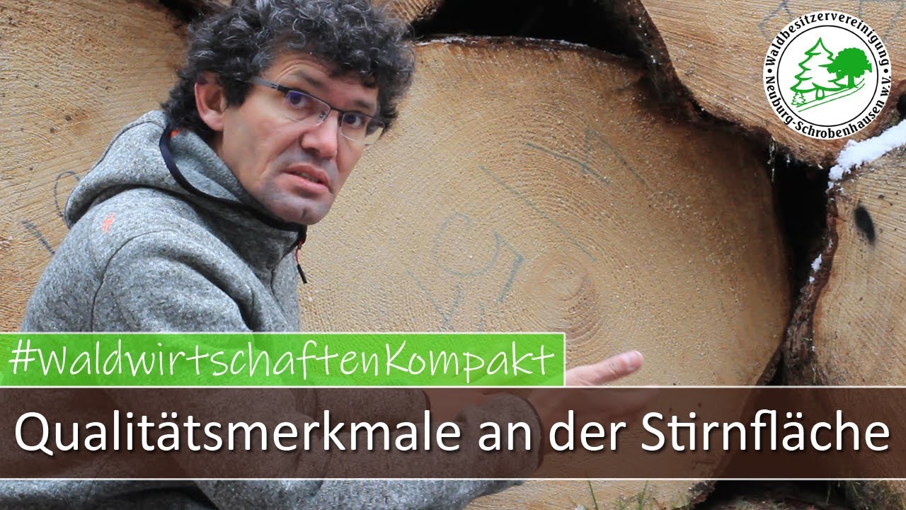 Gütemerkmale bei der Fichte anhand der Stirnfläche beurteilen - am Beispiel Erdstämme
