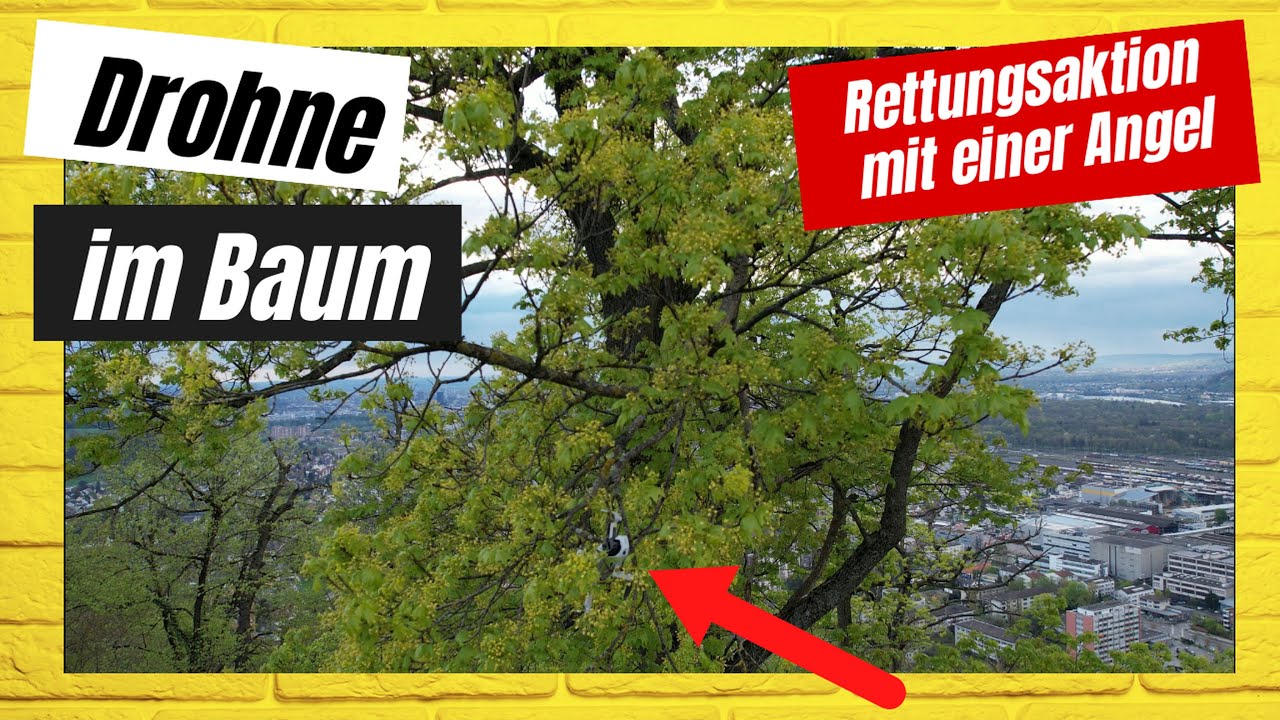 Drohne im Baum - Rettungsaktion mit einer Angel