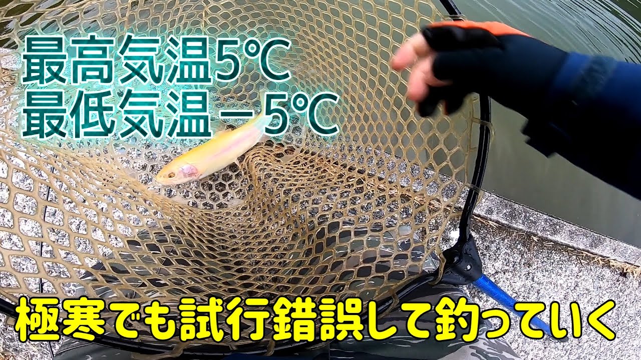 【フィッシャーリゾートしょうばら】今シーズン最初のトラウトゲームはいかに…？【エリアトラウト】