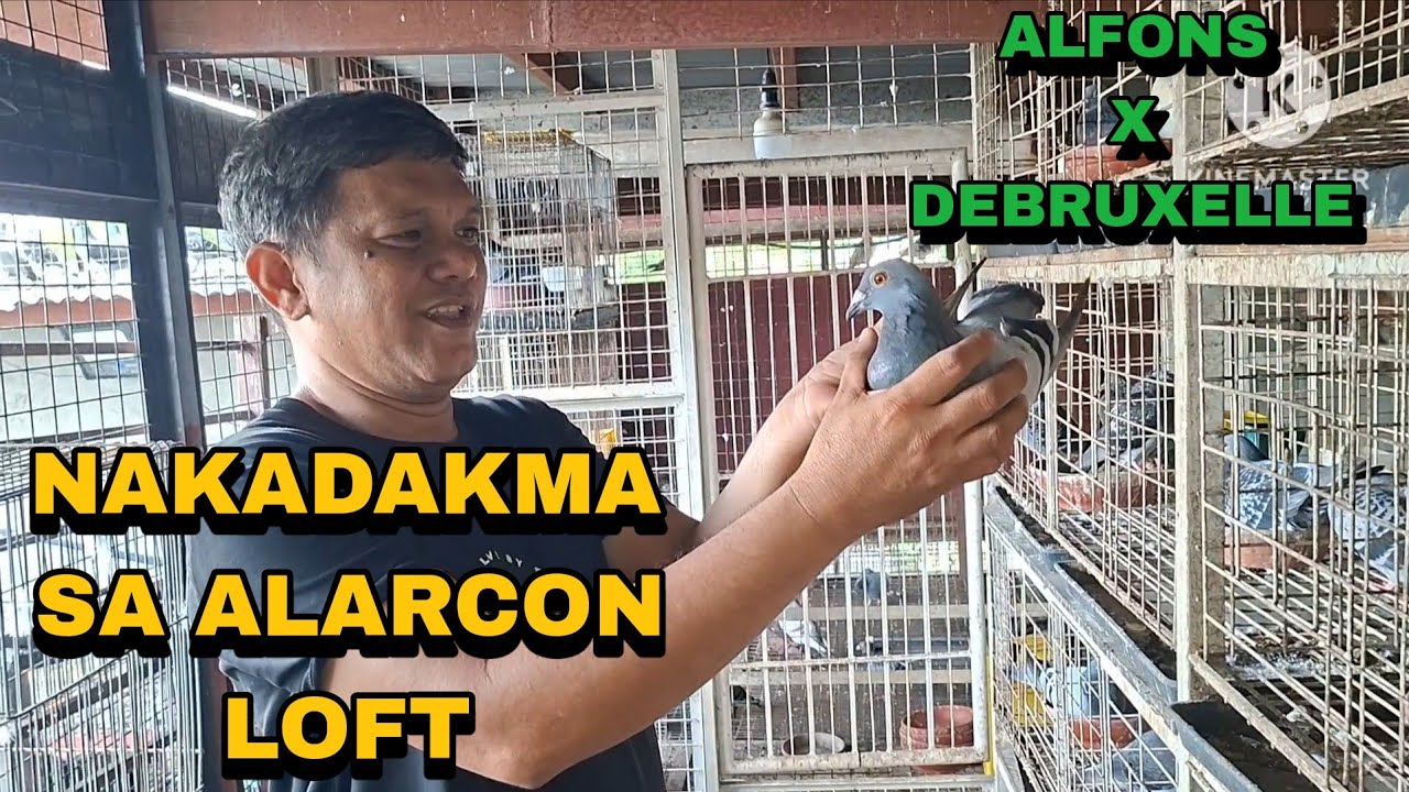 NAGKAKADAKMAAN NA SA ALARCON LOFT, MADAMI TAYONG PAMIMIGAY MGA OLD LINES NATIN!