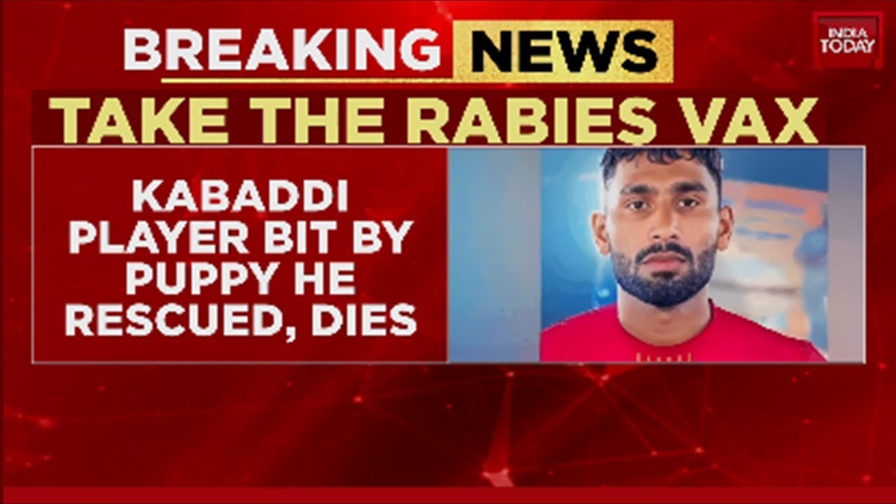 Kabaddi Player Dies of Rabies After Rescuing Stray Puppy in Uttar Pradesh's Bulandshahr