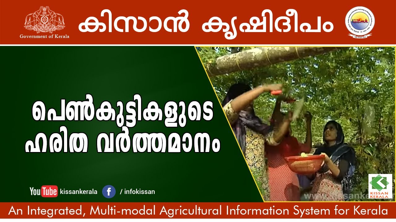 Agricultural activities of young group of girls - Disha Karunya Kendram, Alapuzha