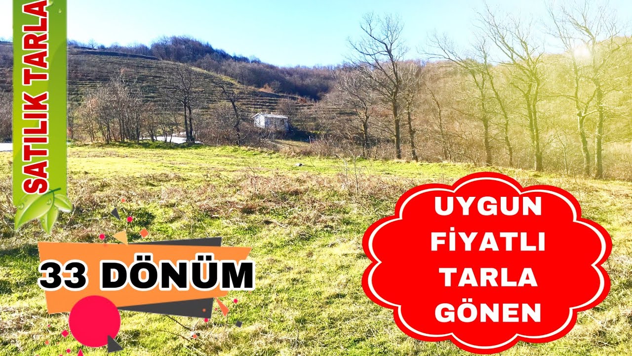 SATILDI Satılık Tarla 33 Dönüm Kocapınar Köyünde Çiftlik Yapılabilir 245.000 TL