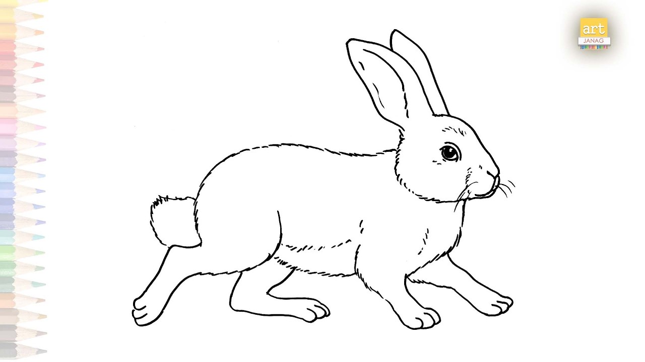 Rabbit walking drawing sketch easy | Animal Art | How to draw A Rabbit step by step | #artjanag