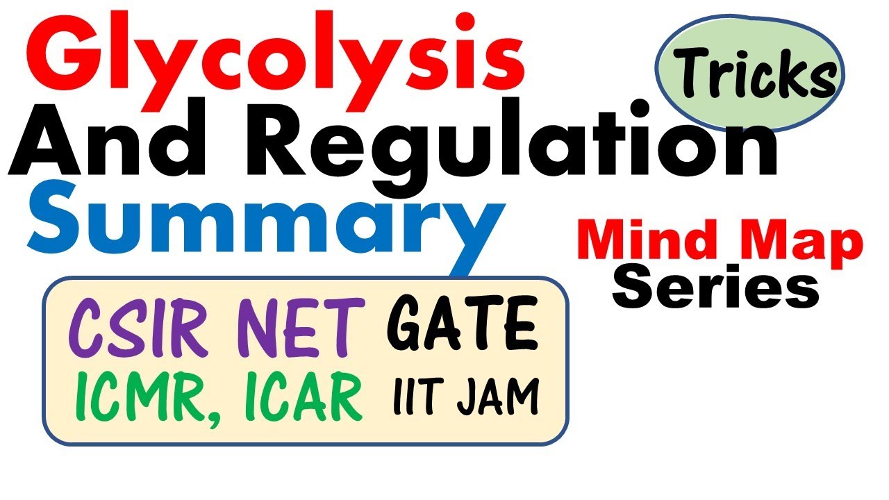 Glycolysis pathway and regulation | Biochemistry lecture for CSIR NET JRF, GATE, ICMR, ICAR, IIT JAM