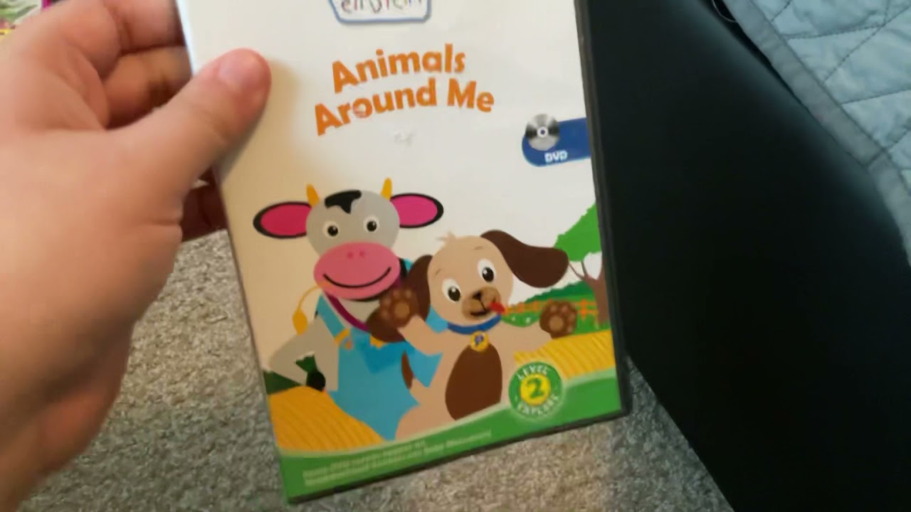 DVD Collection In a Nutshell (Version 1)