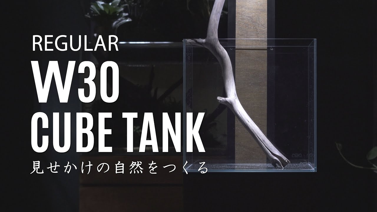 小型水槽 W30 / 緑のレイアウト / Aquascaping Tutorial