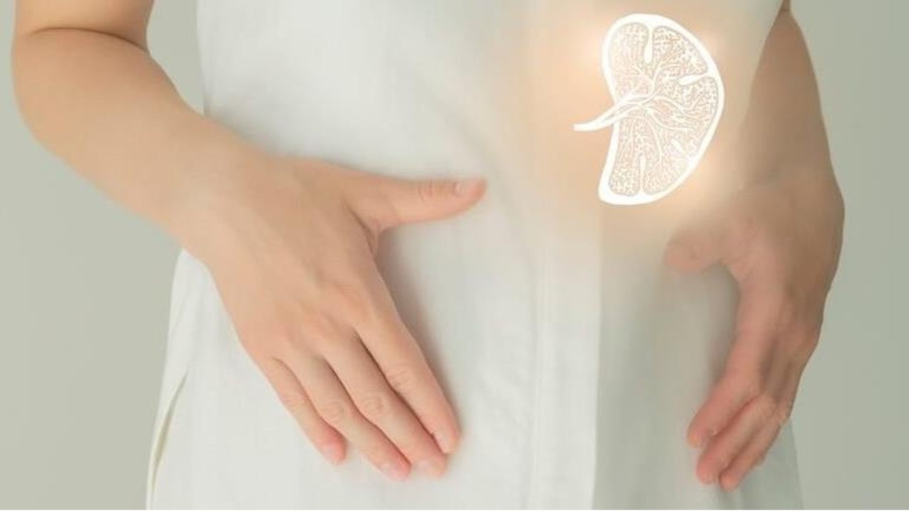 THE SPLEEN IN CHINESE MEDICINE QUIZ