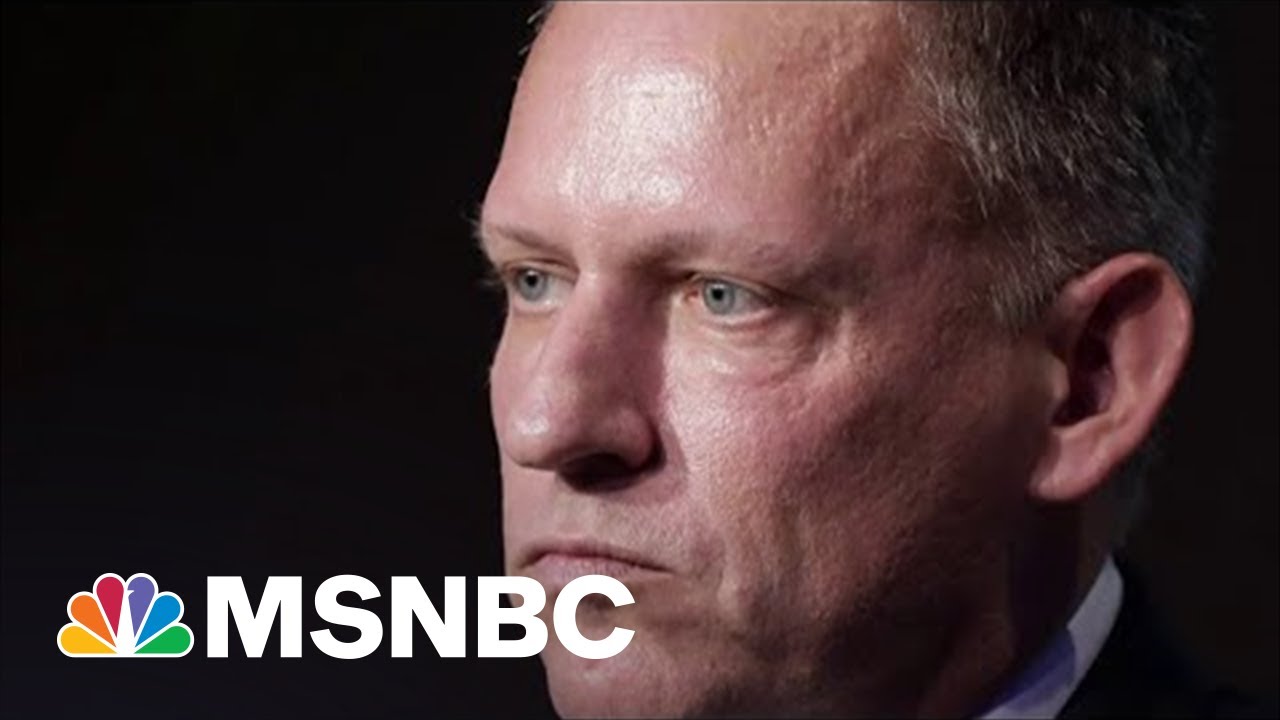Meet The Billionaire Bankrolling Trump-Friendly Candidates | The Mehdi Hasan Show