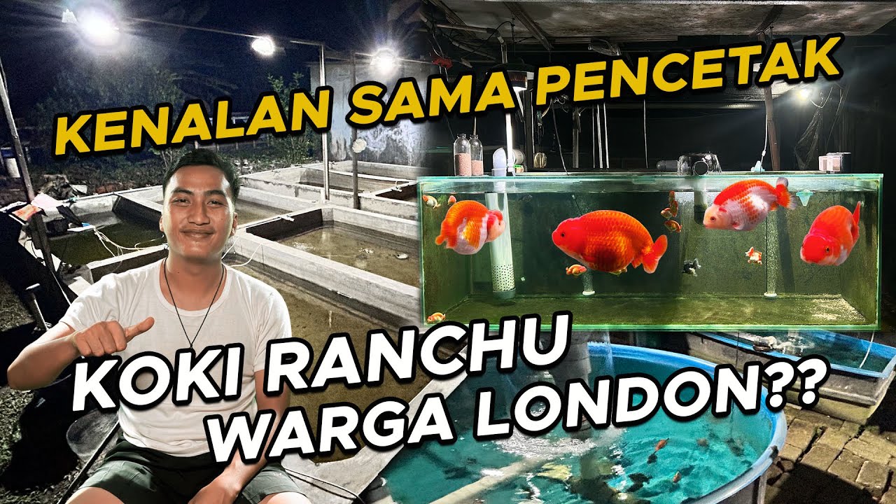 VISIT PEMBESARAN KOKI DARI BURAYAK DI FARM MINA SEROJA
