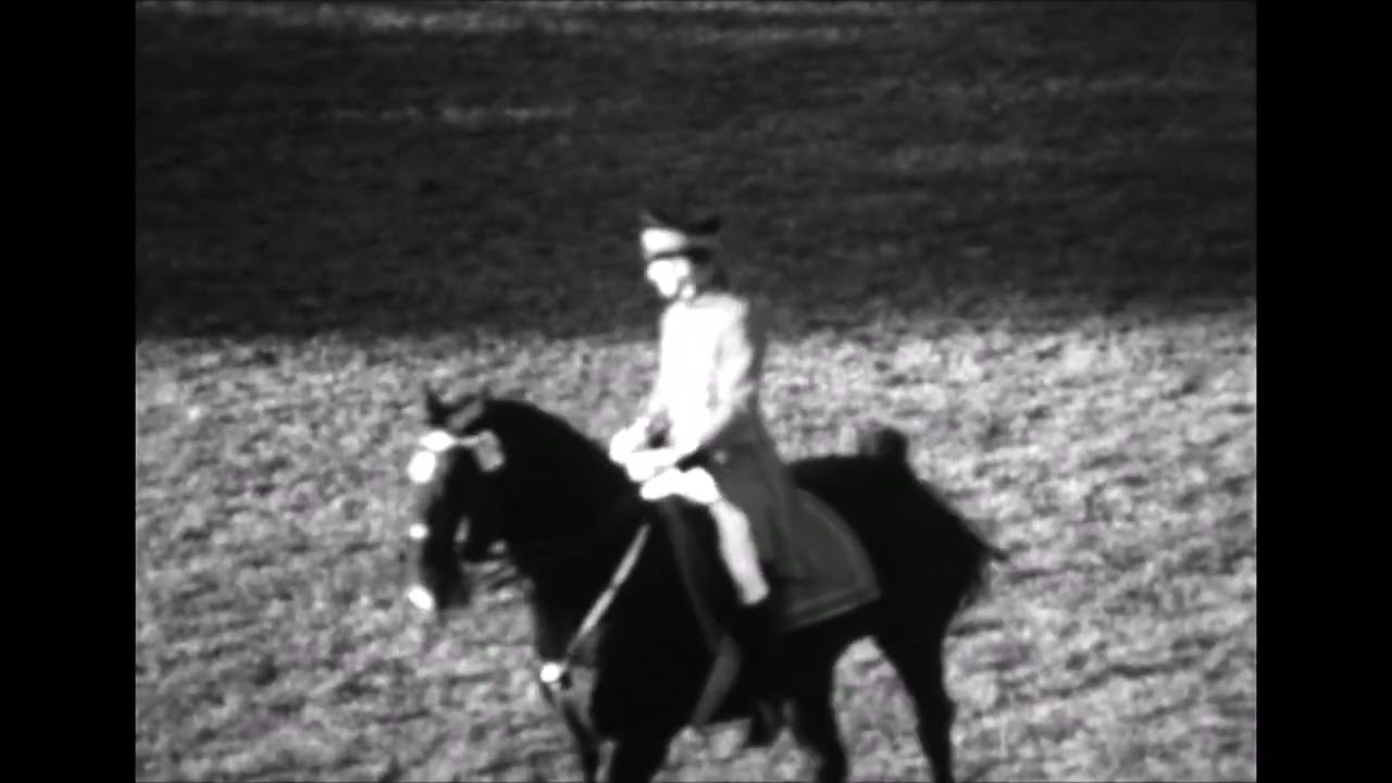 Zeitreise zu Pferd: Die Celler Hengstparade 1955 - Teil 4