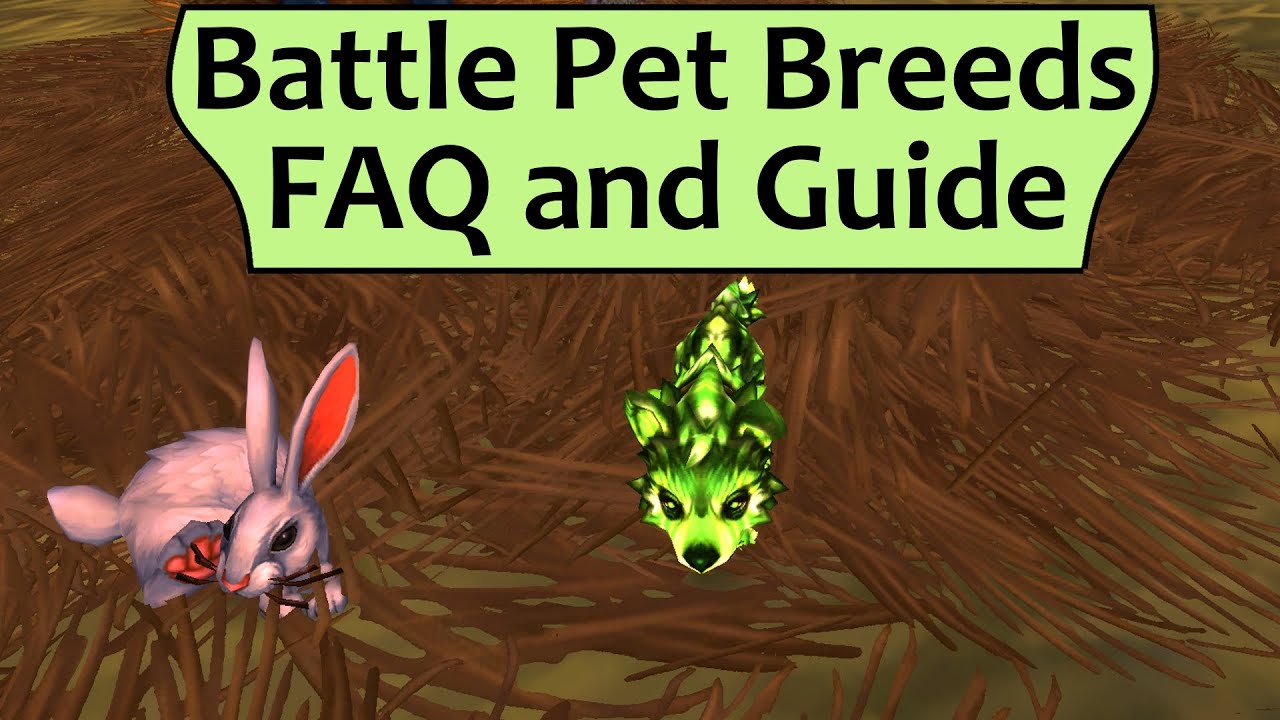 Battle Pet Breeds FAQ and Guide