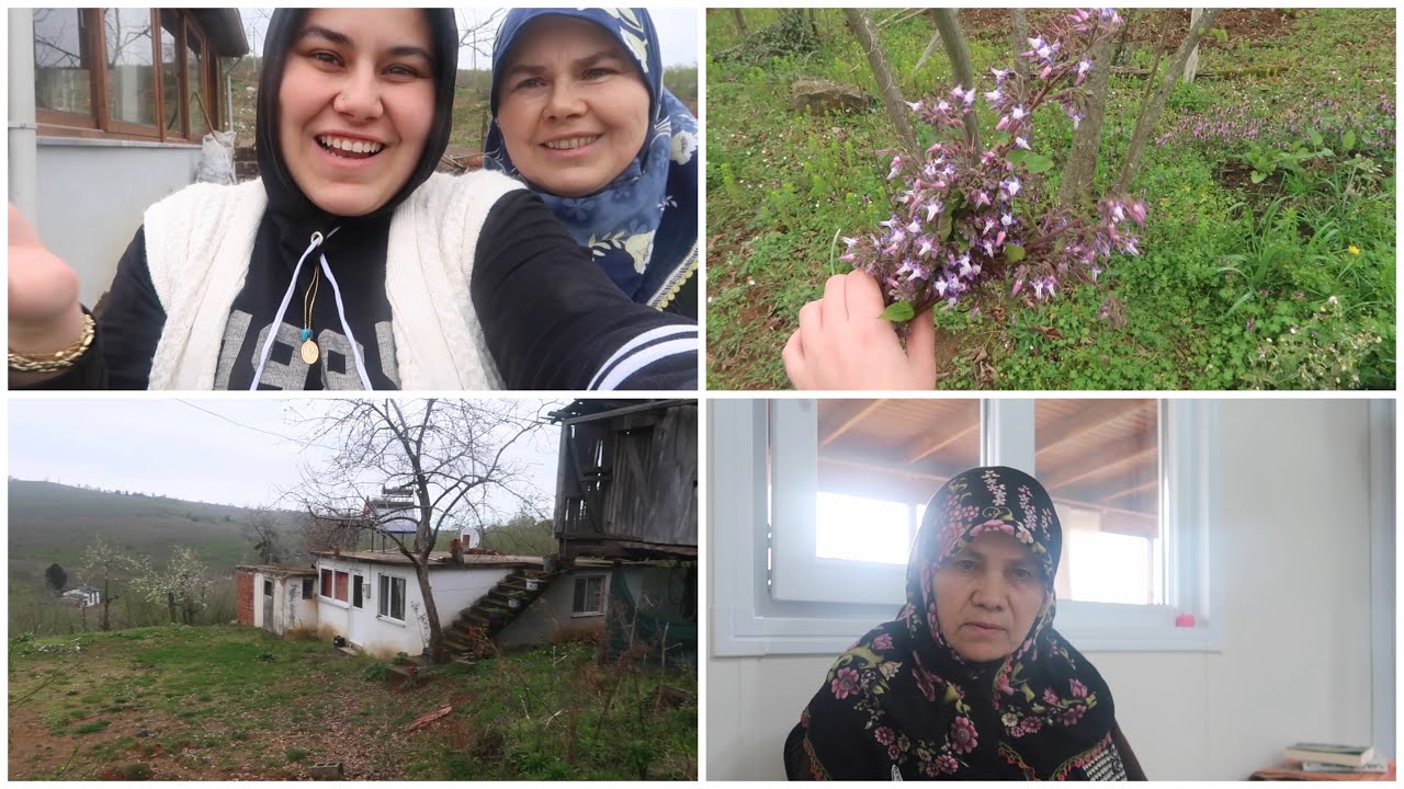 KALDİRİK TOPLADIK YEMEĞİNİ YAPTIK 🌸 KÖYÜ BİRLİKTE GEZELİM | BABAANNEM MERAK EDİYOR | KÖY VLOG 6