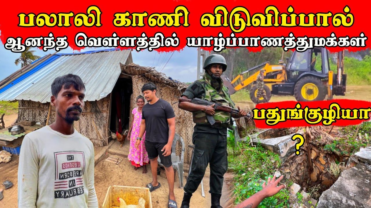 30 வருடங்களுக்கு பிறகு ஆனந்த வெள்ளத்தில் யாழ்ப்பாண மக்கள்🌴 / Palali / Tamil bros