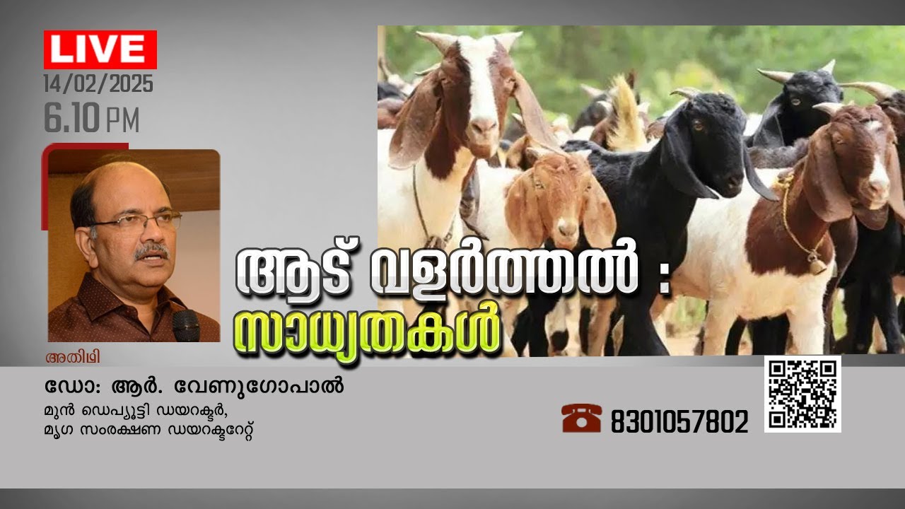 ആട് വളർത്തൽ - സാദ്ധ്യതകൾ LIVE@ 6.10 PM