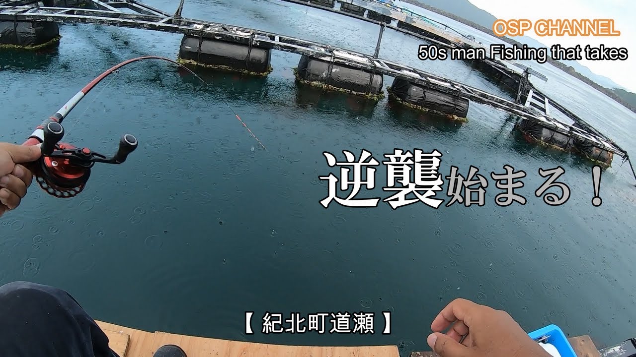 【かかり釣り】逆襲、始まります！(笑)前回の動画では、色々、やらかしましたが、今回は、オヤジ躍動です！（汗）是非、ご覧下さい！