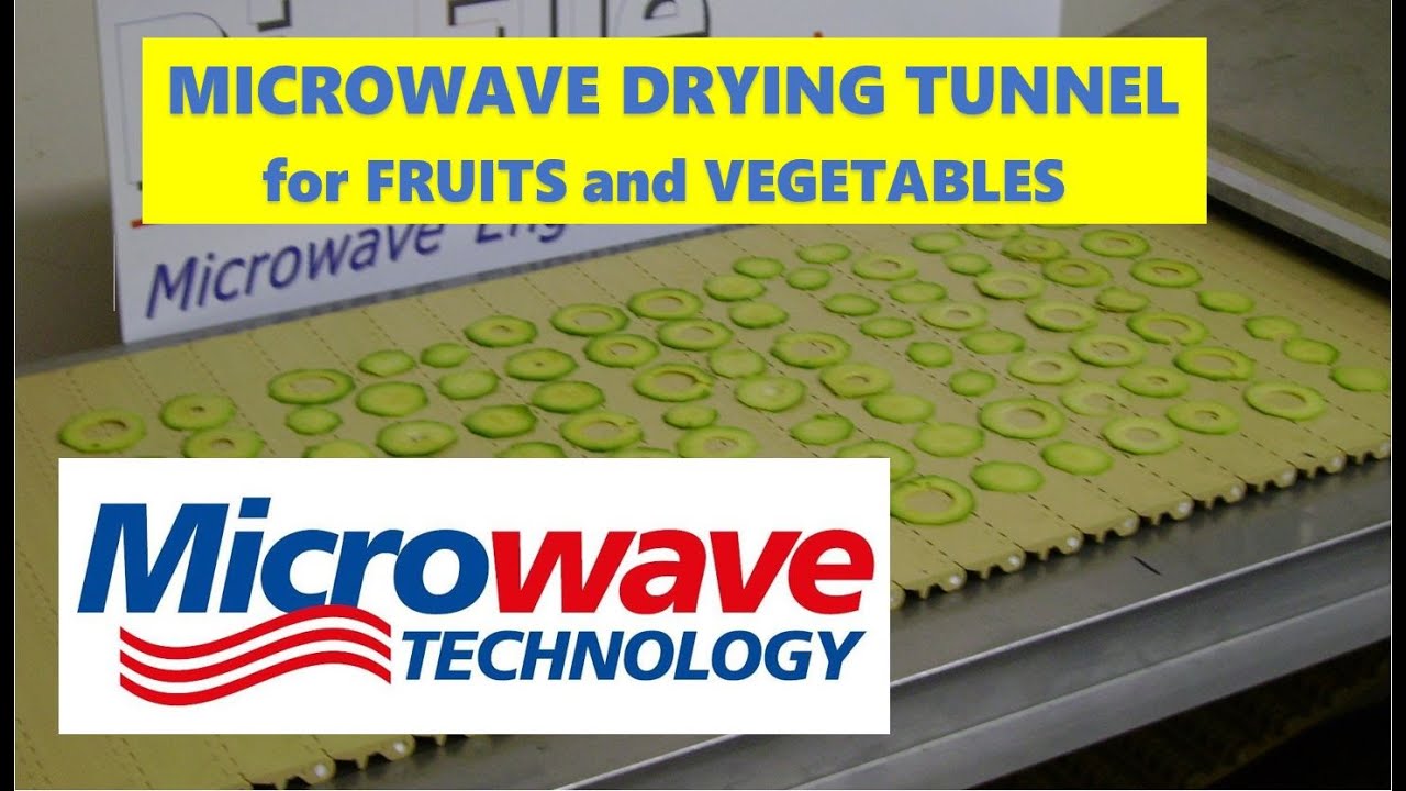 MICROWAVE drying of fruits and vegetables with industrial belt dryer - Essiccazione frutta e verdura