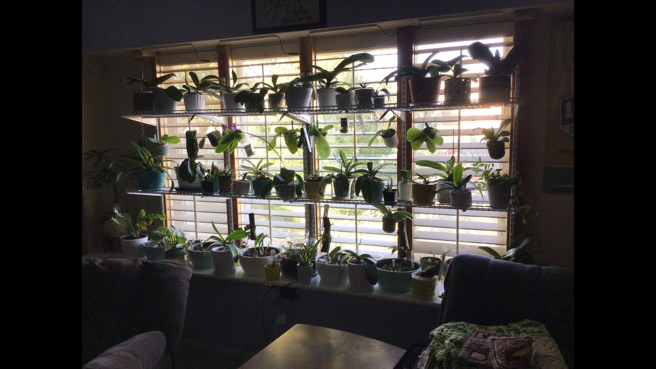 November 2021 - North Window