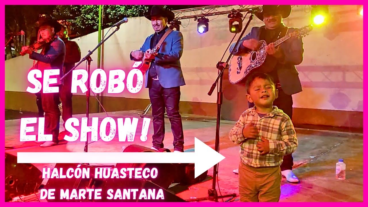 😱😍 MIRA LO QUE HIZO ESTE CHAVITO! con halcón huasteco + el sonsolito y tampico hermoso EN XILITLA
