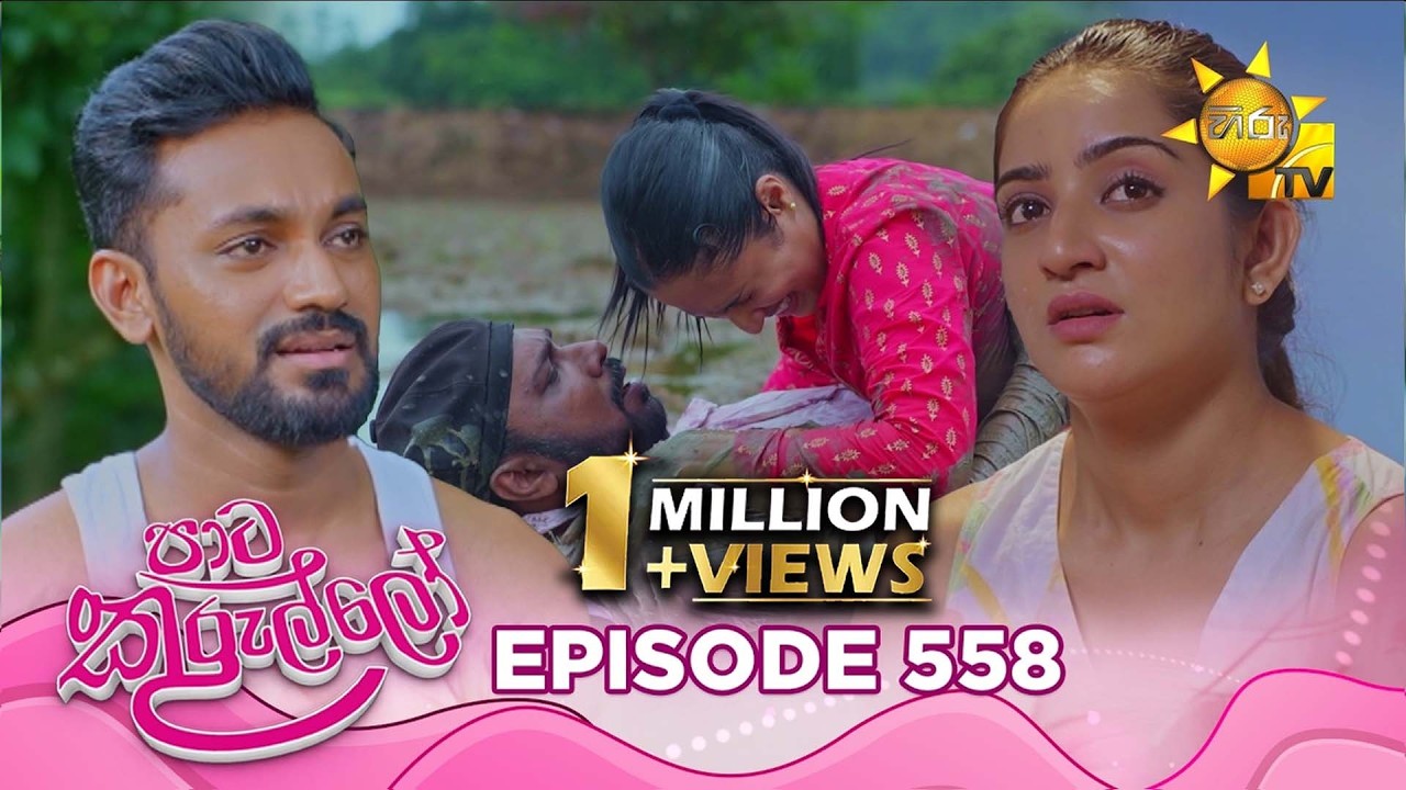 Paata Kurullo - පාට කුරුල්ලෝ | Episode 558 | 2026-06-30 | Hiru TV