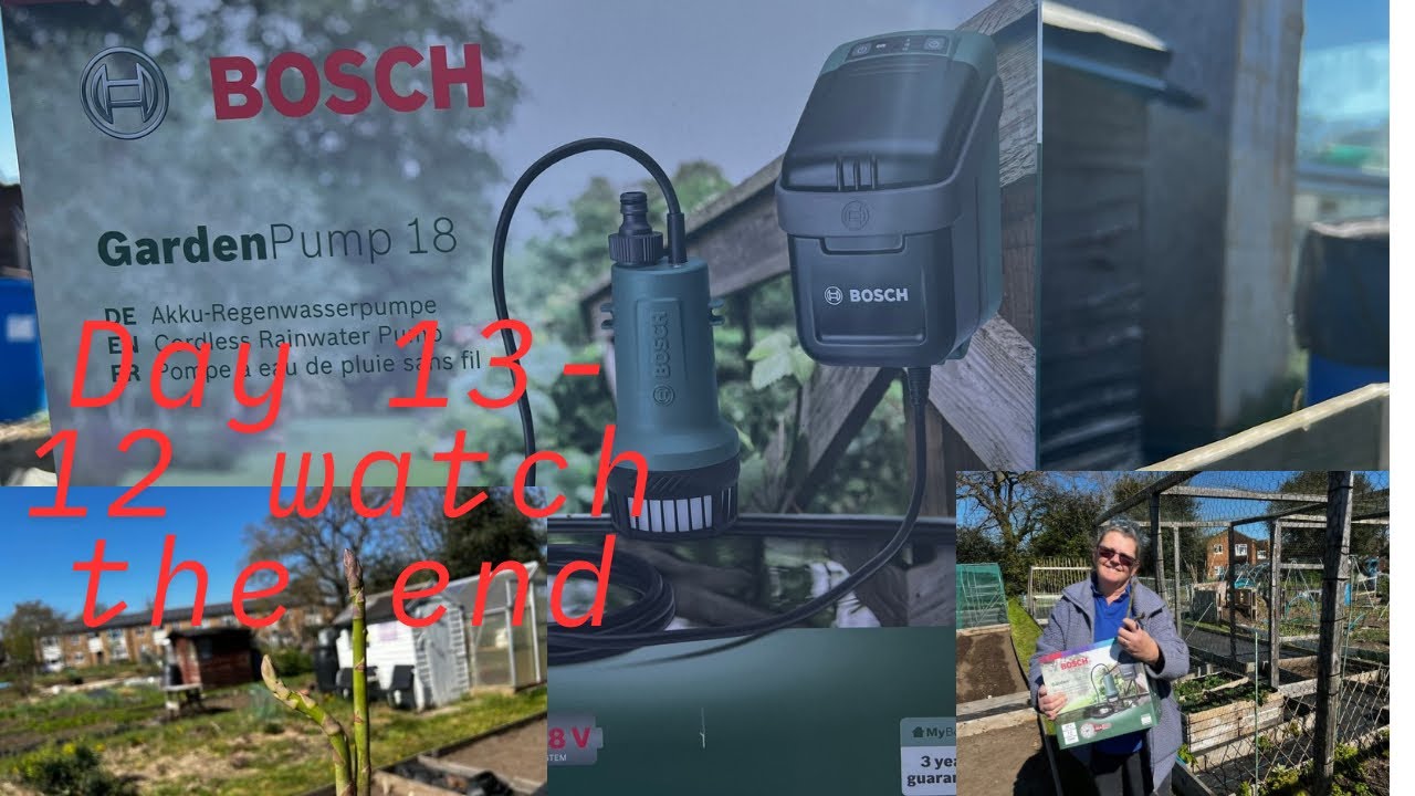Setting Up my Bosch Water Butt Pump for Spring + Allotment Update (Day 13)