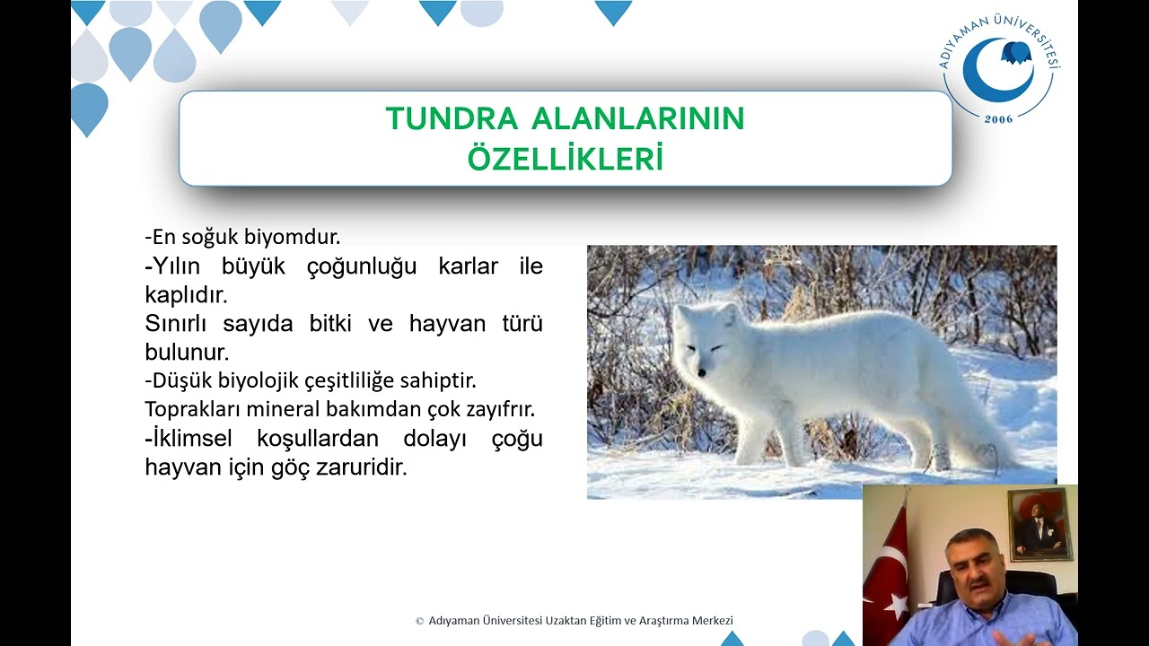 Türkiye'nin Flora ve Faunası_11