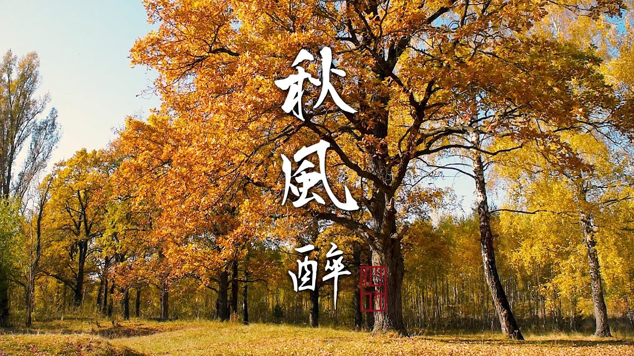 秋風醉 | 【心竹笛演奏】