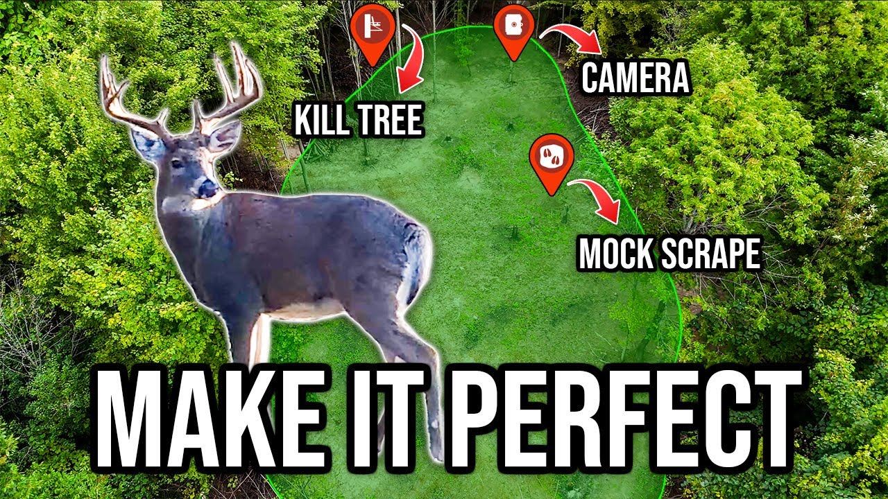 Food Plot DONE? Here&rsquo;s How to Make It UNSTOPPABLE