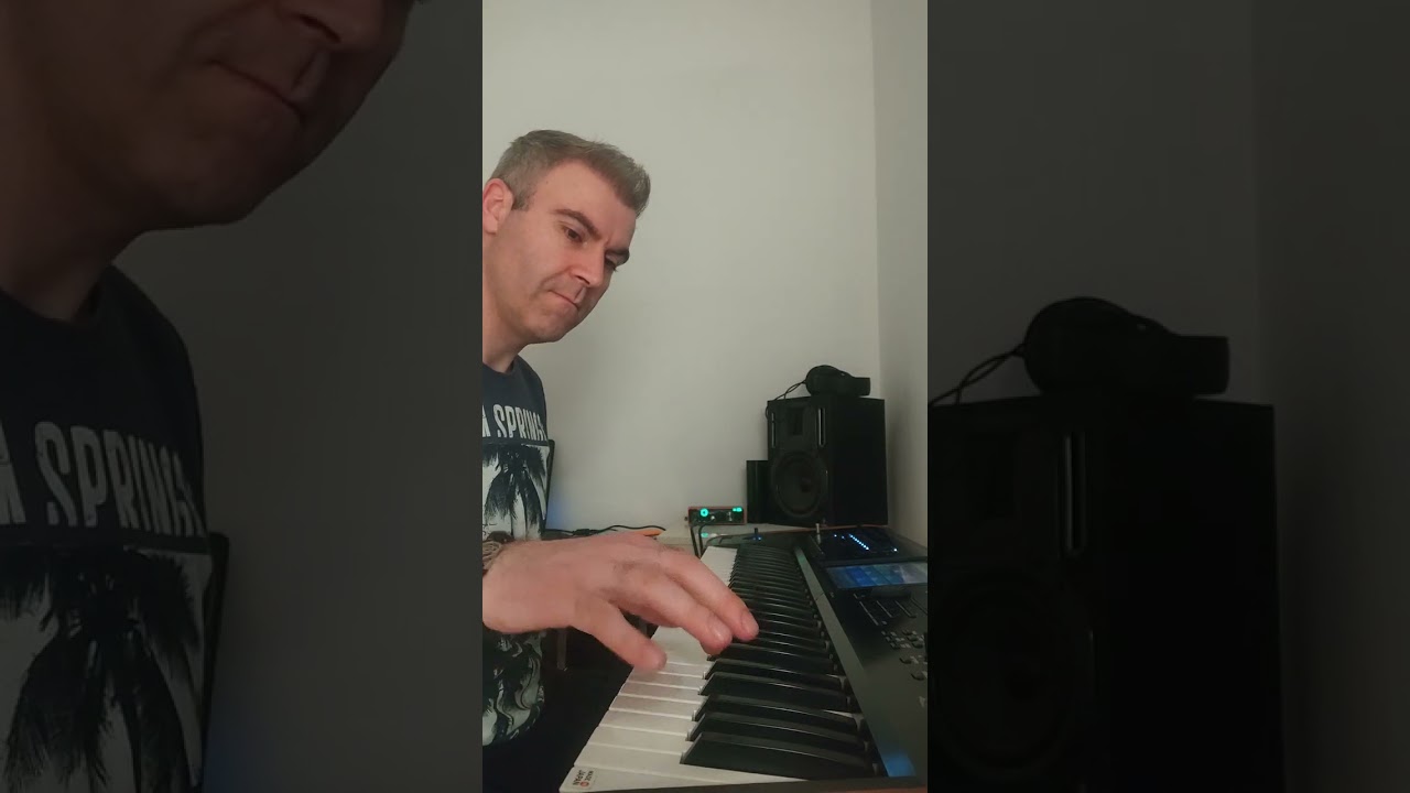 Monotonija (Ceca) - Cover