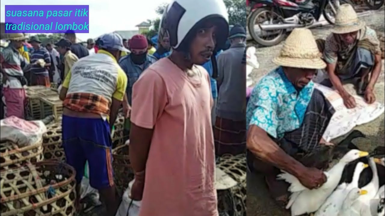 Pasar ayam bangkok paling ramai di lombok NTB