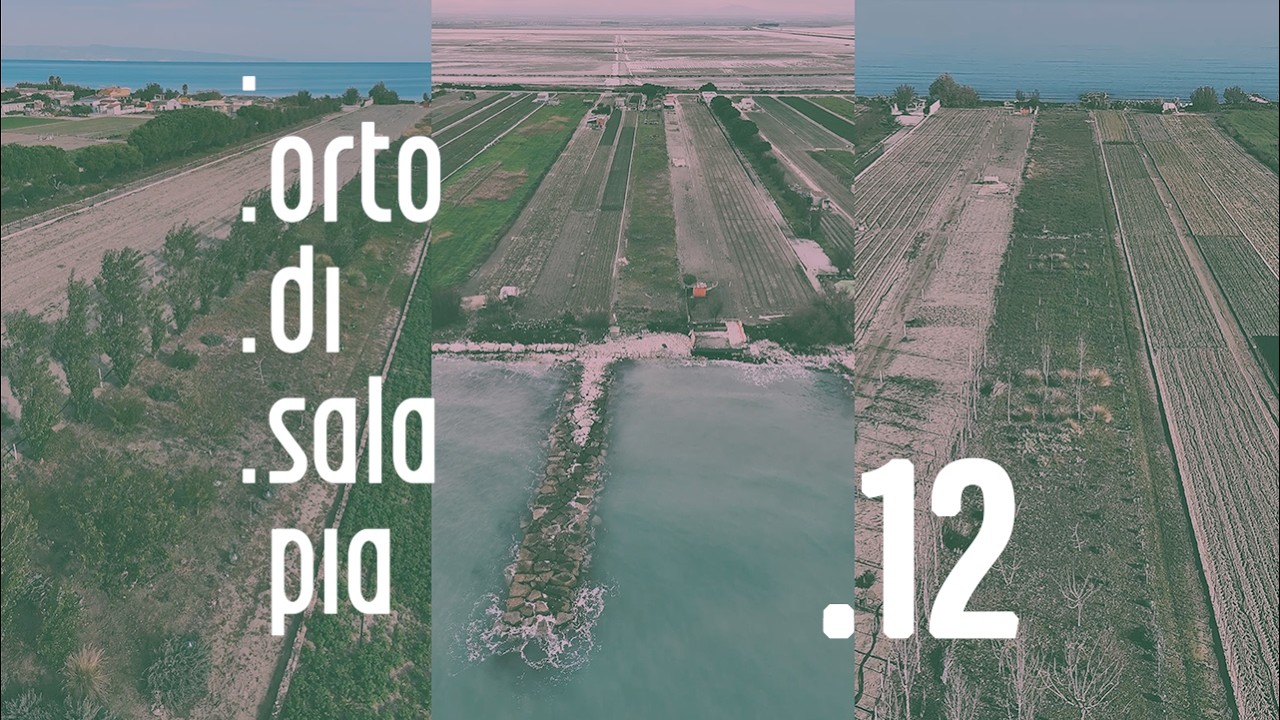 orto.di.salapia 12 _ .visioni d’insieme