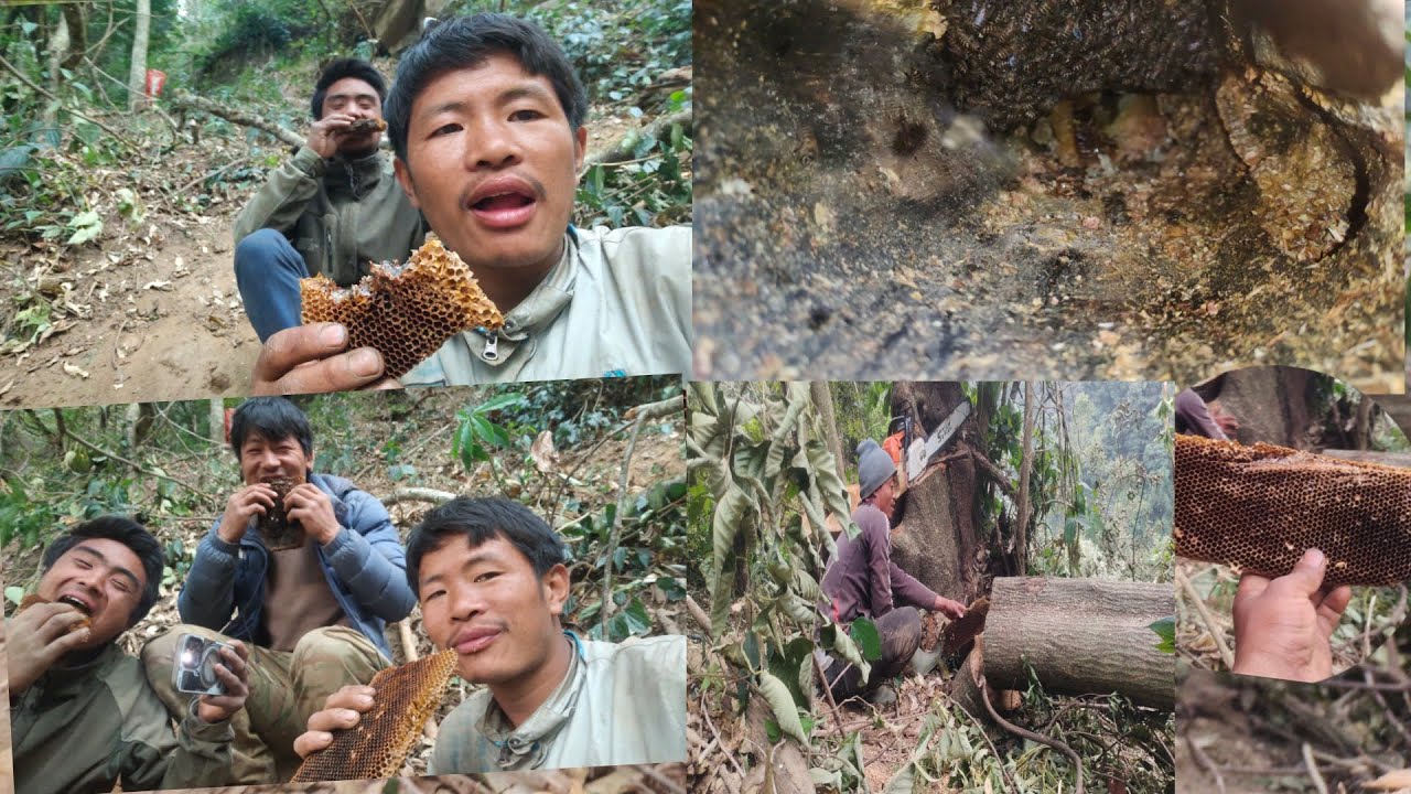 Bhauri kardai 